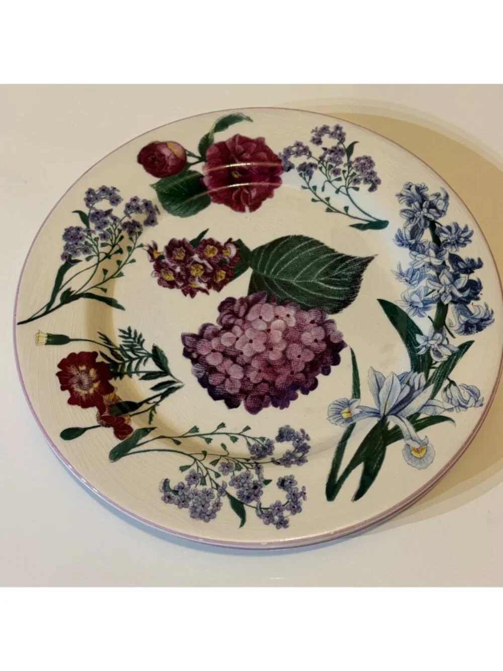 Williams Sonoma RB Bernarda Portugal Floral Salad Plates Hydrangea Set of 6 VTG